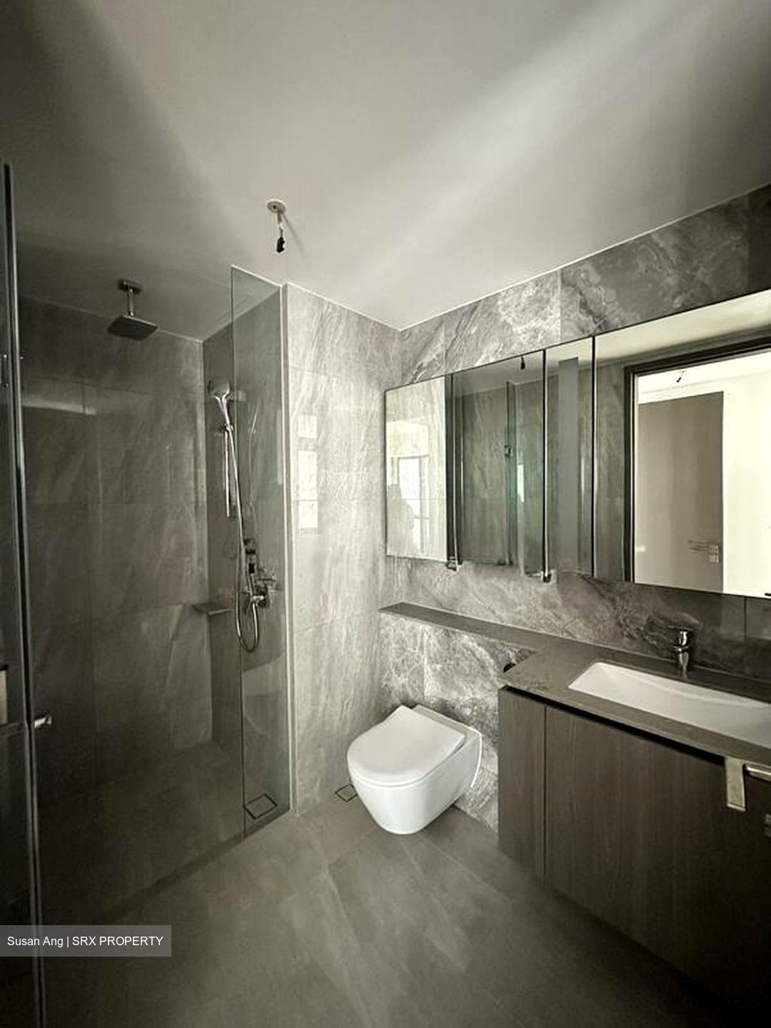 Piccadilly Grand (D8), Apartment #567422481